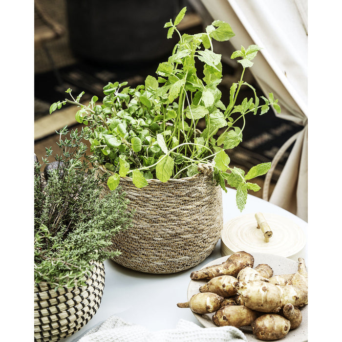 Hang Nature Basket