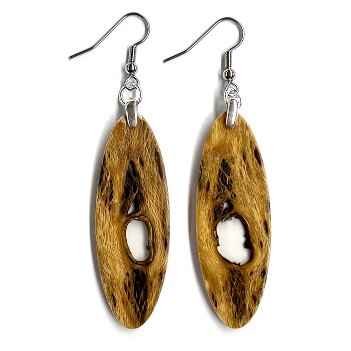Dried Saguaro Cactus Earrings