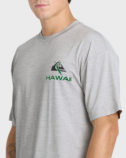 Hawaii Everyday Short Sleeve Surf Tee - Light Grey Hth