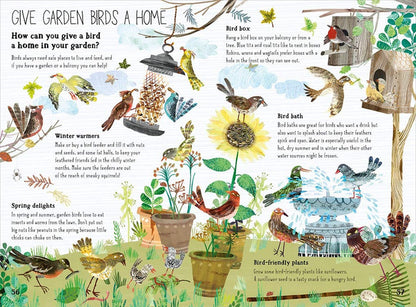 Big Book of Birds by Yuval Zommer