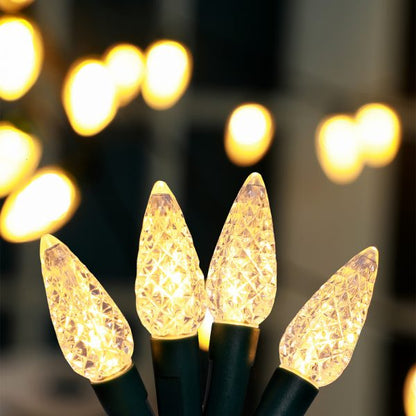 Lexi Lighting C6 Pinecone 200LED Connectable Sting Lights - Decorative Light