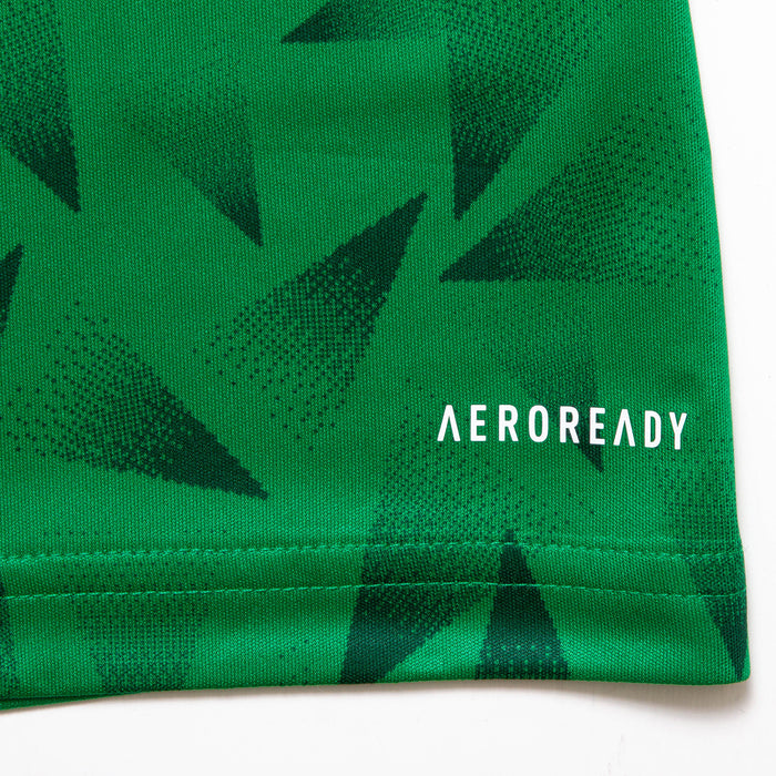 Trance FC Long Sleeve Retro 25 - Jersey - Green